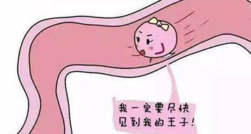 【干货，备孕的看过来】如何得知排卵期？