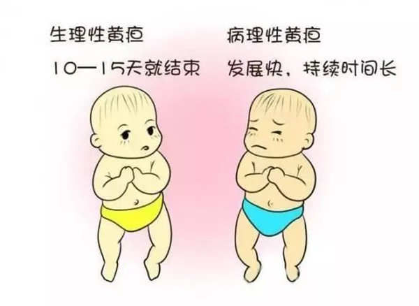 d5677c90eda847c182b1e83e42537eaa.jpeg
